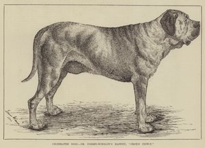 Perros célebres, el mastín del Dr. Forbes-Winslow, Príncipe de la Corona de Louis Wain